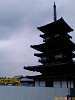 F1000229_thumb.jpg