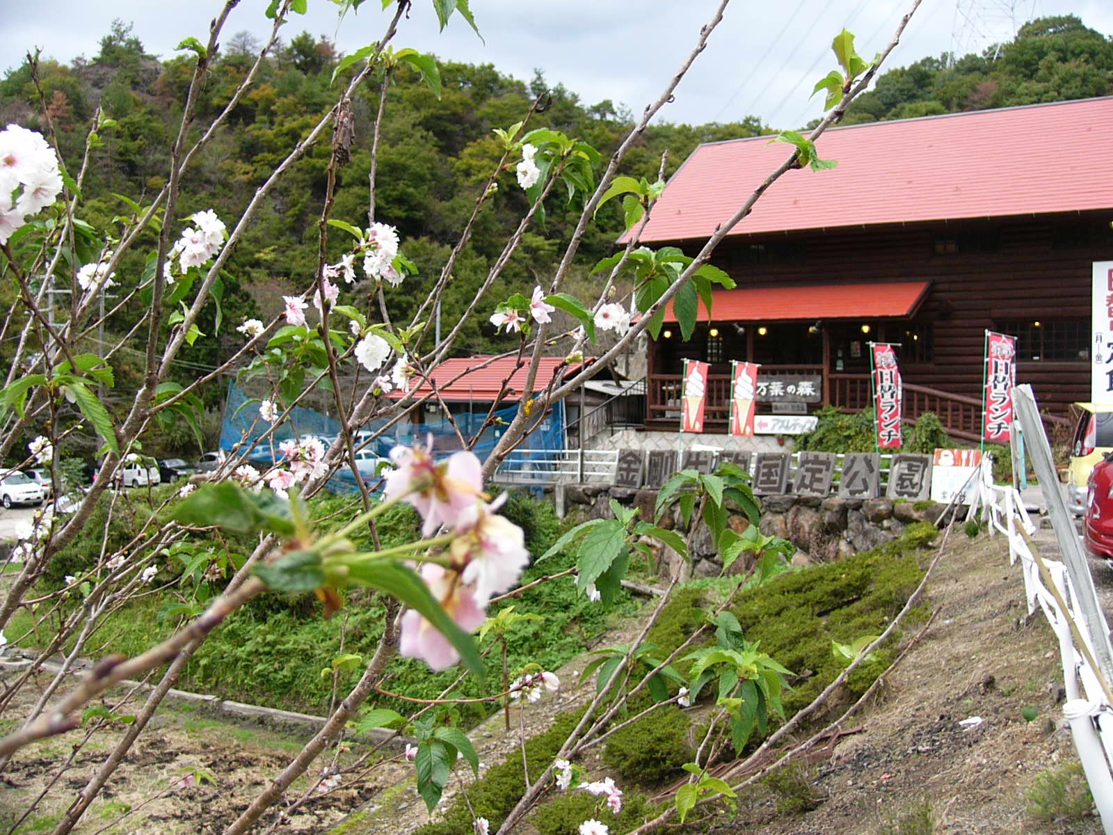 p1000321.jpg